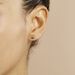 Boucles D'oreilles Puces Lapin Or Or Jaune - Clous d'oreilles Enfant | Histoire d’Or