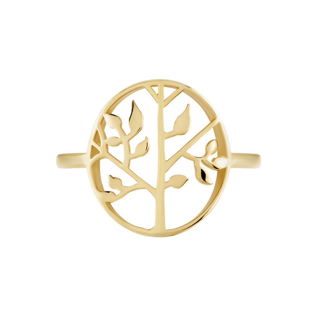 Bague Galvina Plaqué Or Jaune - Bagues fantaisie Femme | Histoire d’Or