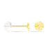 Boucles D'oreilles Puces Berangere Cercle Or Jaune