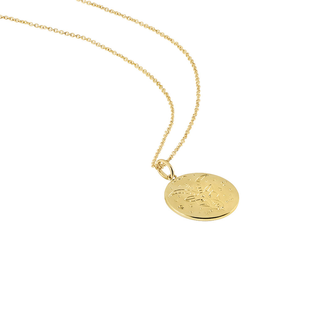 Collier Astro Plaqué Or - Colliers Zodiaque Femme | Histoire d’Or