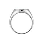 Chevali&egrave;re Argent Blanc Aileas Malachite - Bagues solitaires Homme | Histoire d&rsquo;Or