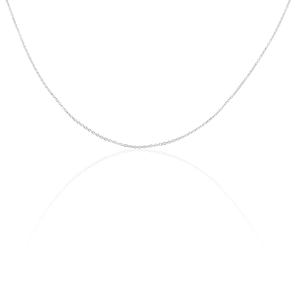 Chaîne Ilan Maille Forçat Ronde Or Blanc - Chaines Unisex | Histoire d’Or