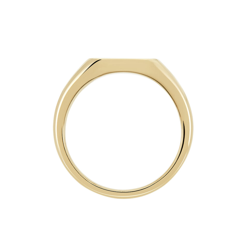 Chevali&egrave;re Plaqu&eacute; Or Jaune Steven Email Noir - Chevali&egrave;res Homme | Histoire d&rsquo;Or