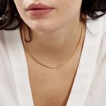 Collier Jayna Maille Palmier Or Jaune - Chaines Femme | Histoire d&rsquo;Or