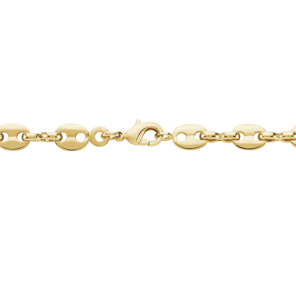 Collier William Plaqué Or Jaune - Chaines Femme | Histoire d’Or