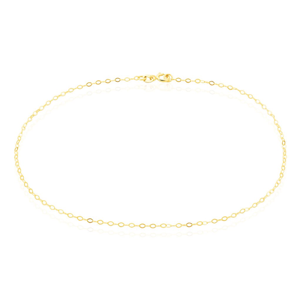 Cha&icirc;ne De Cheville Maille For&ccedil;at Or Jaune - Cha&icirc;nes de cheville Femme | Histoire d&rsquo;Or