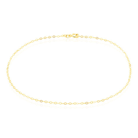 Cha&icirc;ne De Cheville Maille For&ccedil;at Or Jaune - Cha&icirc;nes de cheville Femme | Histoire d&rsquo;Or