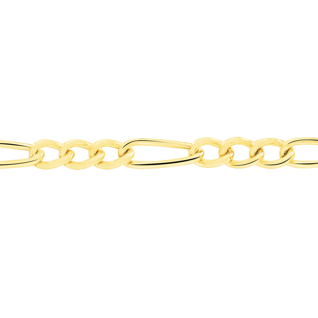 Chaîne Cameo Maille Alternee 1/3 Or Jaune