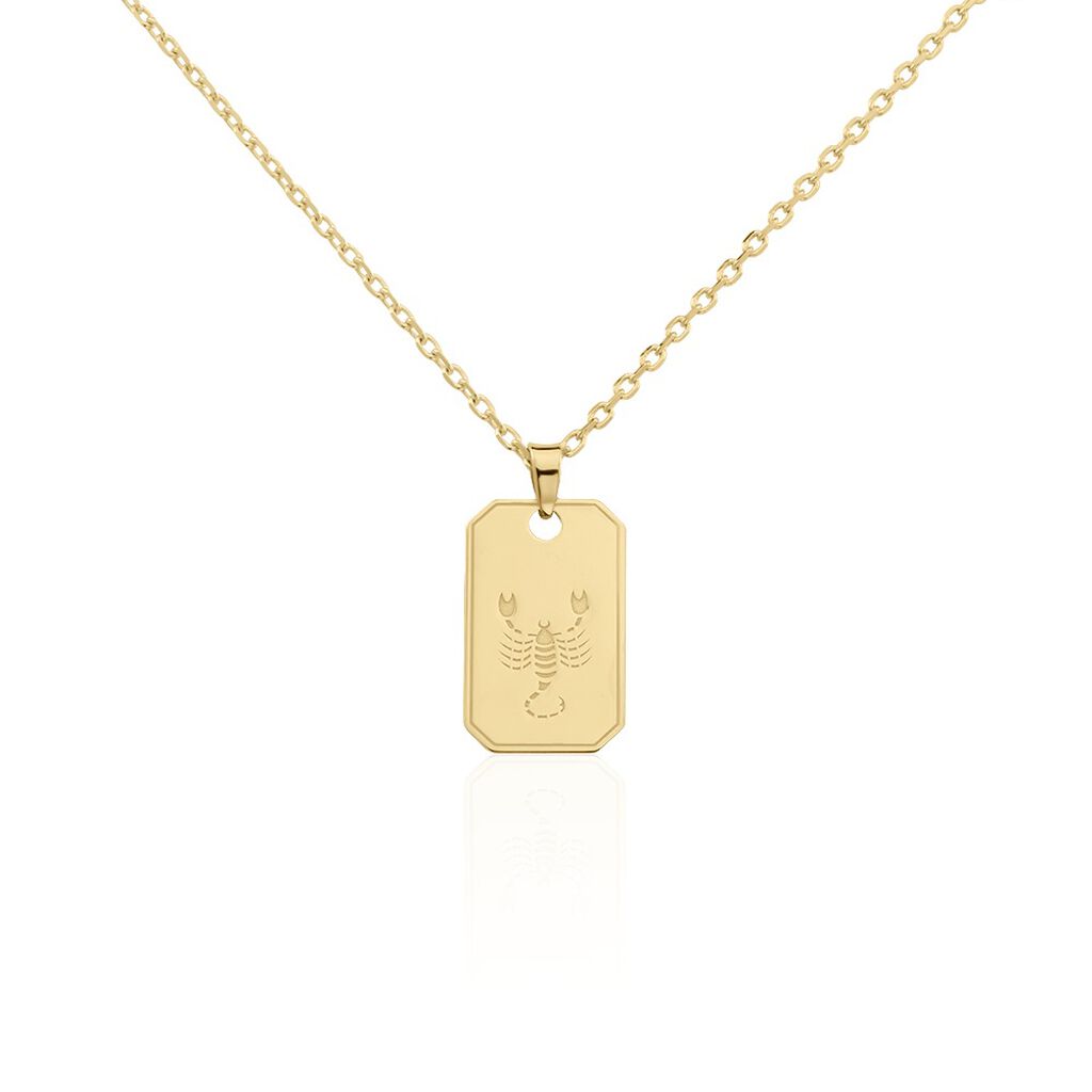 Collier Plaqué Or Quintien - Colliers Zodiaque Homme | Histoire d’Or