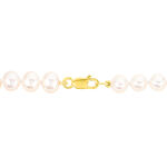 Bracelet Merrane Or Jaune Perle De Culture - Bracelets Femme | Histoire d&rsquo;Or