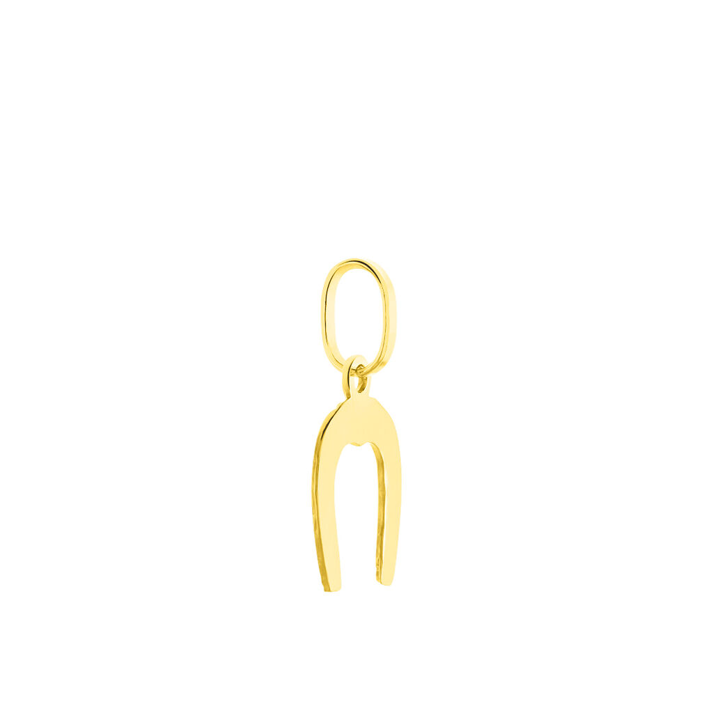 Pendentif Egide Fer A Cheval Or Jaune - Pendentifs Famille | Histoire d’Or