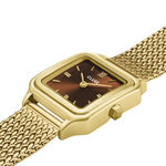 Montre Cluse Gracieuse Petite Marron - F&ecirc;te des m&egrave;res Femme | Histoire d&rsquo;Or