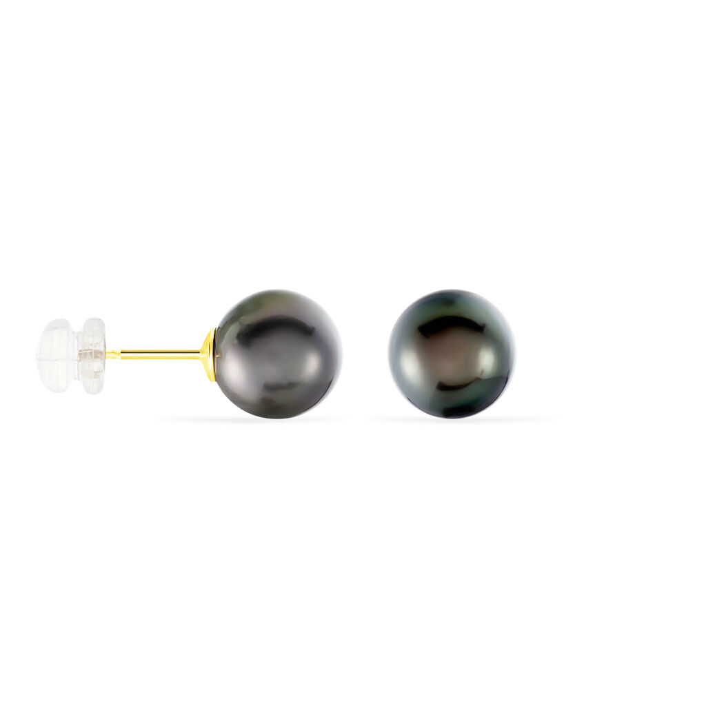 Boucles D'oreilles Puces Alper Or Jaune Perle De Culture De Tahiti - Clous d'oreilles Femme | Histoire d’Or