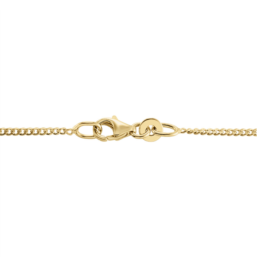 Chaîne Clement Plaqué Or Jaune - Chaines Homme | Histoire d’Or