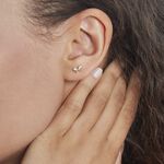 Boucles D'oreilles Puces Or Jaune Brunnera Oxydes De Zirconium - Clous d'oreilles Femme | Histoire d&rsquo;Or