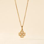 Collier Rhosyn Plaqu&eacute; Or Jaune Oxyde De Zirconium - Colliers Femme | Histoire d&rsquo;Or
