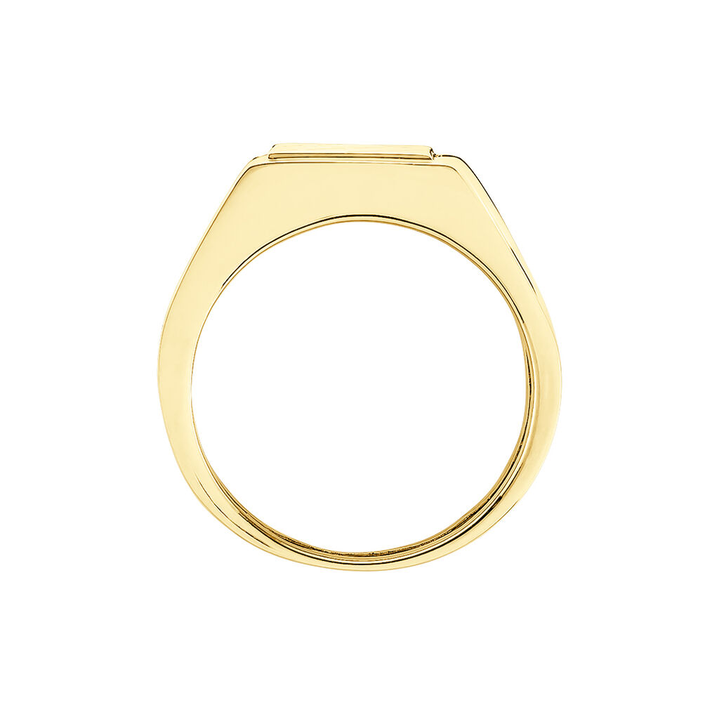 Chevali&egrave;re Chus Or Jaune - Chevali&egrave;res Homme | Histoire d&rsquo;Or