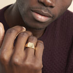 Chevali&egrave;re Rafael Plaqu&eacute; Or Jaune - Chevali&egrave;res Homme | Histoire d&rsquo;Or