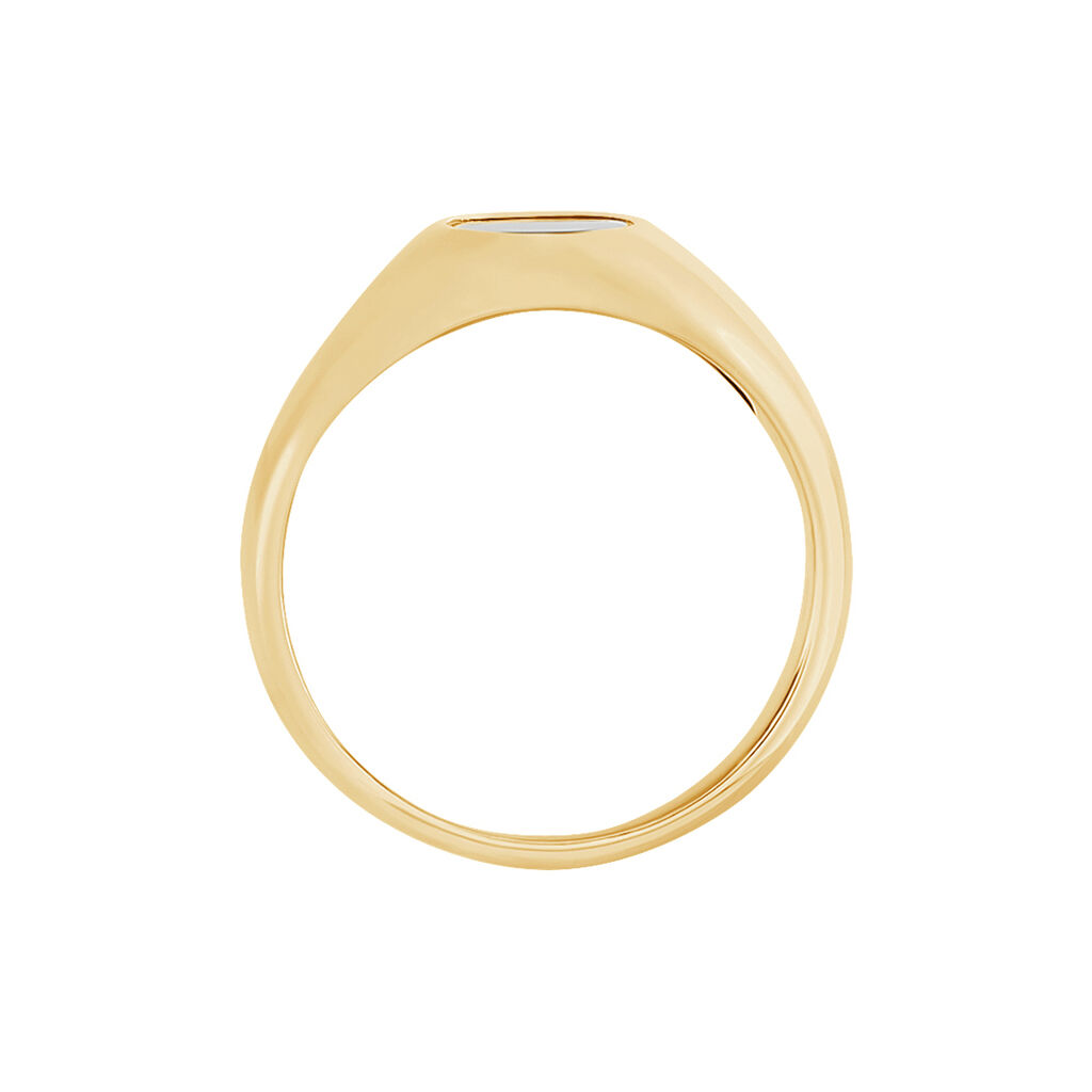Chevali&egrave;re Kauai Plaqu&eacute; Or Jaune Pierre De Synthese - Bagues solitaires Homme | Histoire d&rsquo;Or