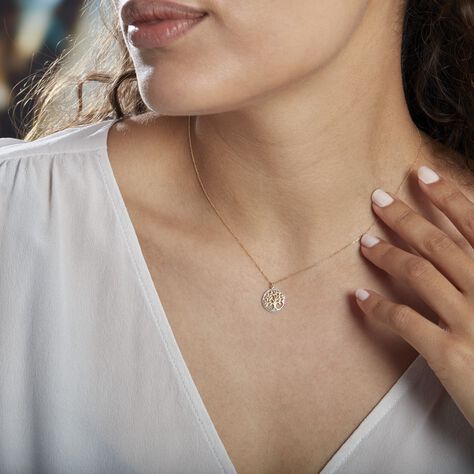 Collier Or Bicolore Solidage - Colliers Femme | Histoire d’Or