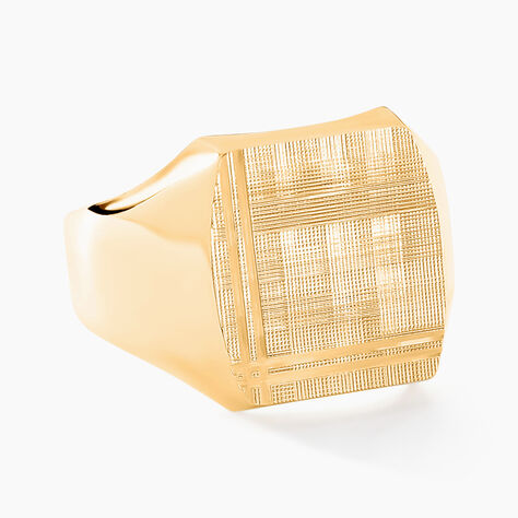 Chevali&egrave;re Jackson Or Jaune - Chevali&egrave;res Famille | Histoire d&rsquo;Or