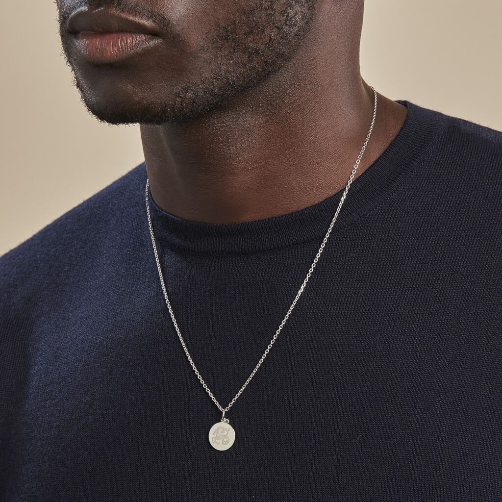 Pendentif Zodiaque Rond Argent Blanc - Pendentifs Zodiaque Famille | Histoire d’Or