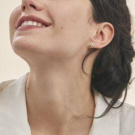 Boucles D'oreilles Pendantes Ascagne Or Bicolore Oxyde De Zirconium - Boucles d'oreilles pendantes Femme | Histoire d’Or