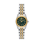 Montre Michael Kors Petite Lexington Vert - Montres Femme | Histoire d&rsquo;Or
