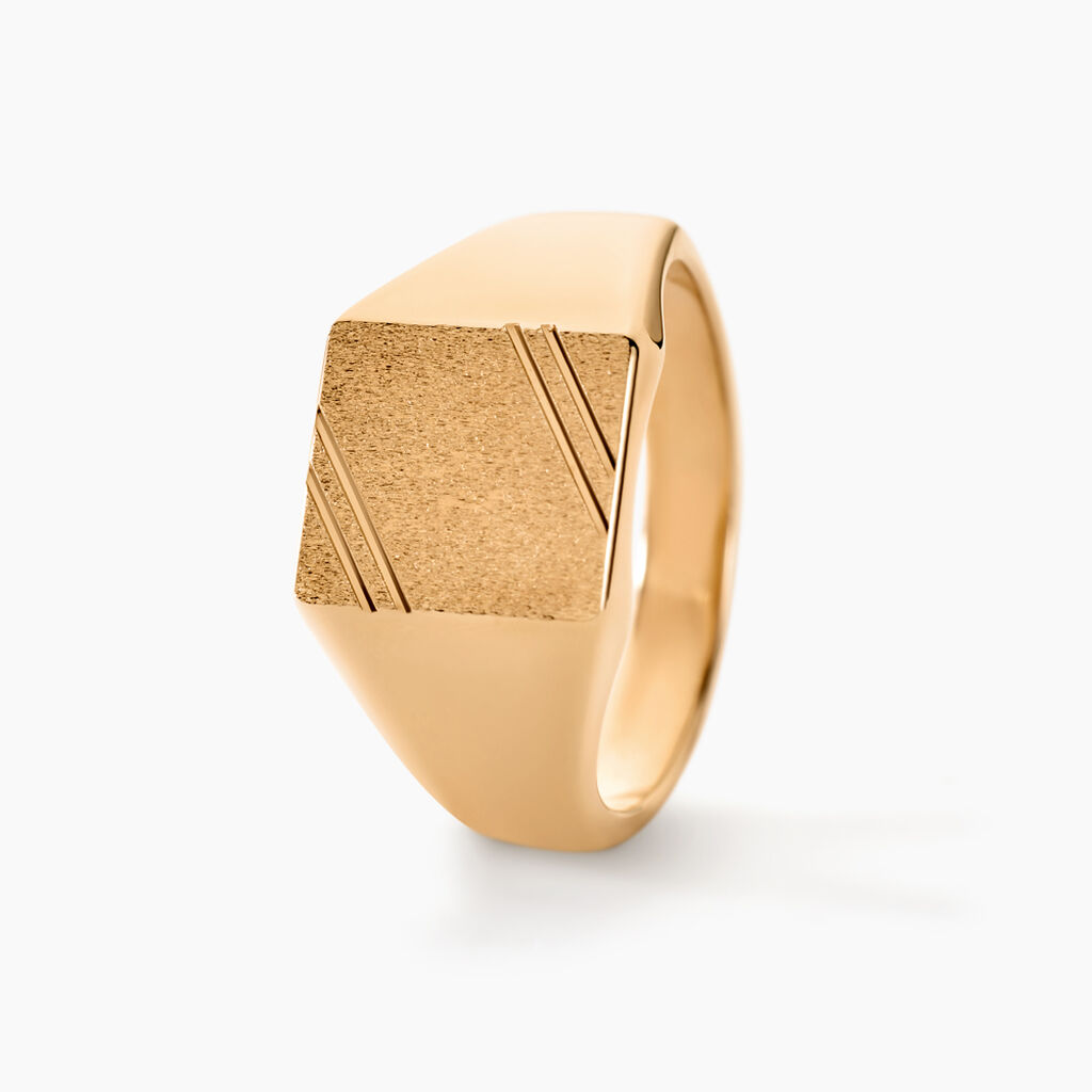 Chevali&egrave;re Daniel Plaqu&eacute; Or Jaune - Chevali&egrave;res Homme | Histoire d&rsquo;Or