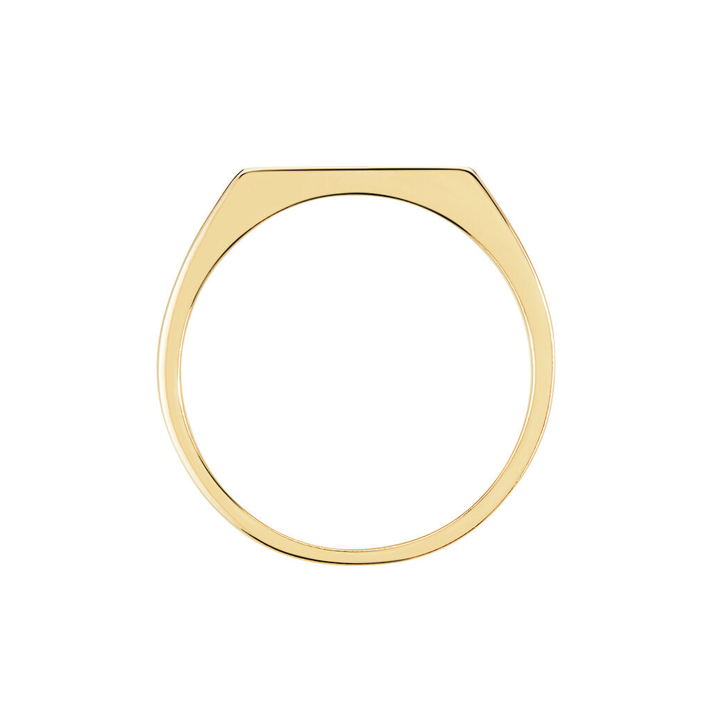 Chevali&egrave;re Plaqu&eacute; Or Jaune Barth Email Noir - Chevali&egrave;res Homme | Histoire d&rsquo;Or