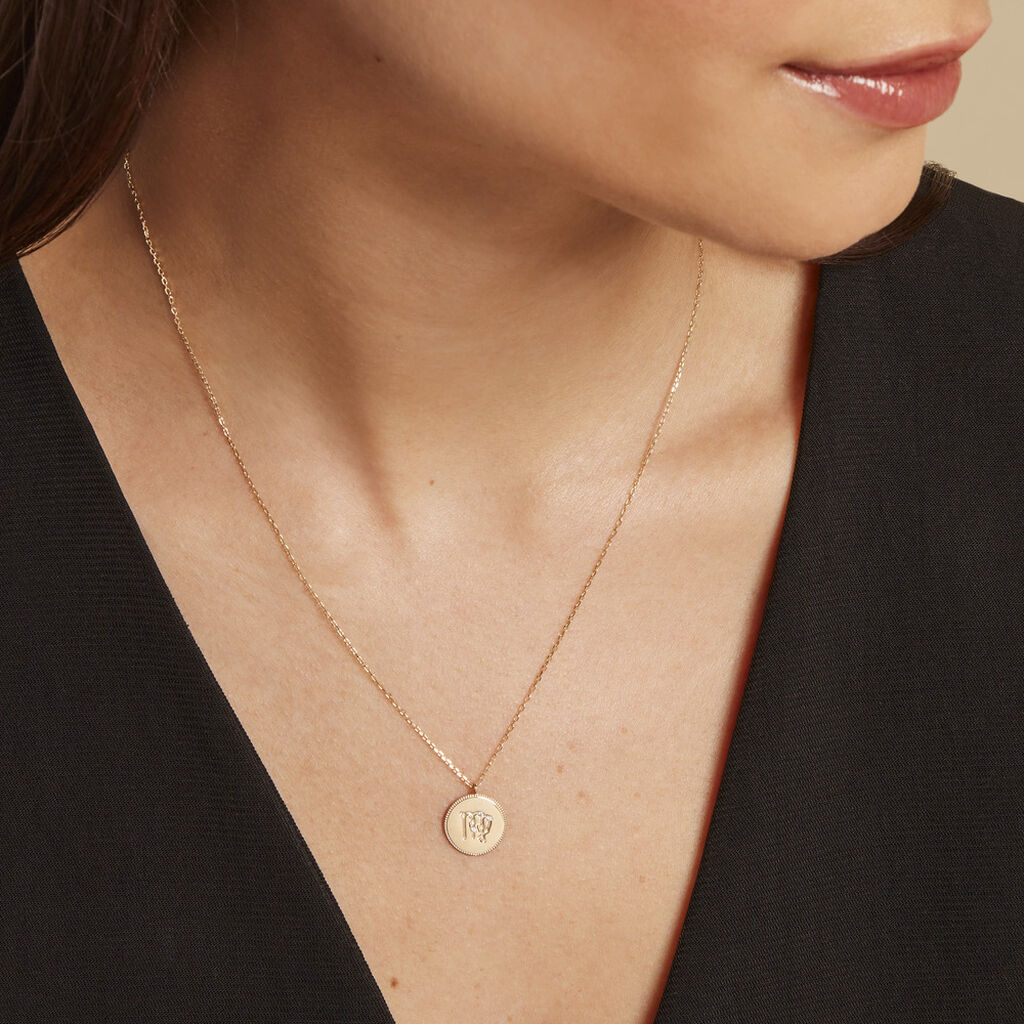 Collier Astrolae Or Jaune Diamant - Colliers Zodiaque Femme | Histoire d’Or
