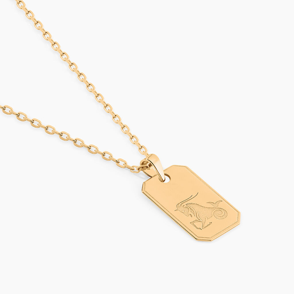 Collier Plaqué Or Quintien - Colliers Zodiaque Homme | Histoire d’Or
