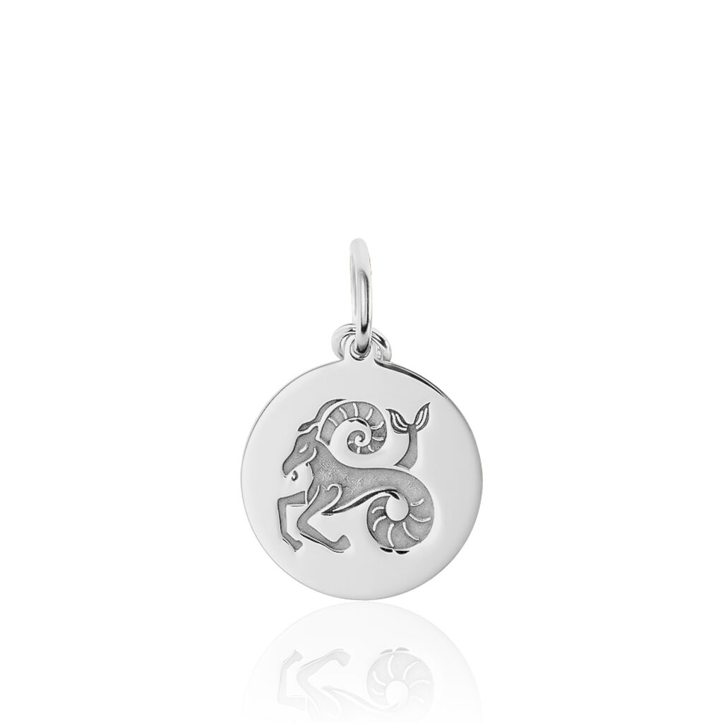 Pendentif Zodiaque Rond Argent Blanc - Pendentifs Zodiaque Famille | Histoire d’Or