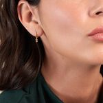 Cr&eacute;ole Unitaire L&eacute;ria Or Jaune Oxydes De Zirconium - Boucles d'oreilles cr&eacute;oles Femme | Histoire d&rsquo;Or