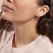 Créoles Ananas Or Jaune - Boucles d'oreilles créoles Femme | Histoire d’Or