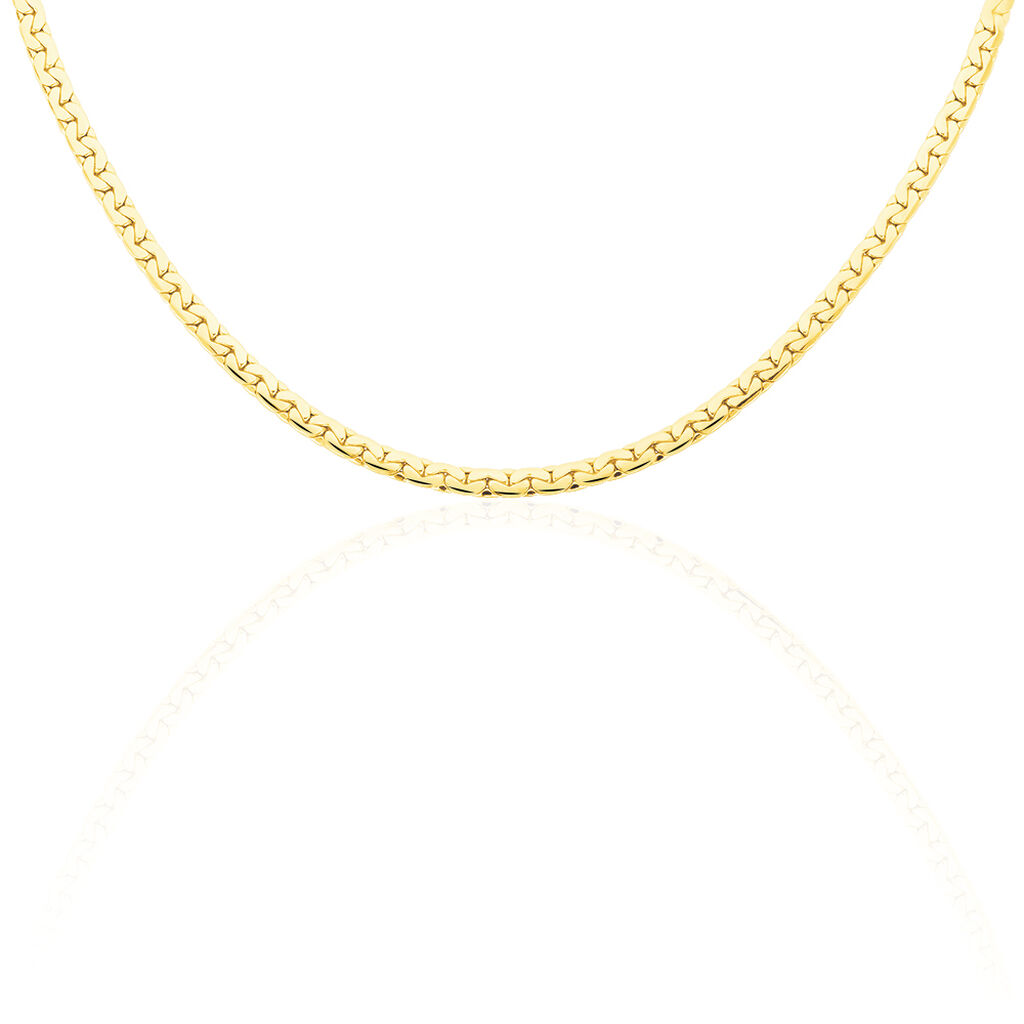 Collier Ivy Maille Haricot Or Jaune - Chaines Femme | Histoire d&rsquo;Or