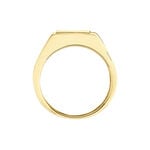 Chevali&egrave;re Chus Or Jaune - Chevali&egrave;res Homme | Histoire d&rsquo;Or