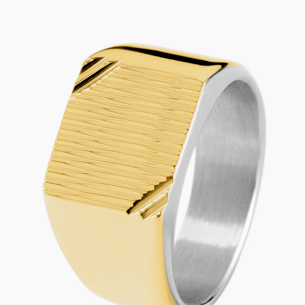 Chevali&egrave;re Two Toned Acier Bicolore - Chevali&egrave;res Femme | Histoire d&rsquo;Or
