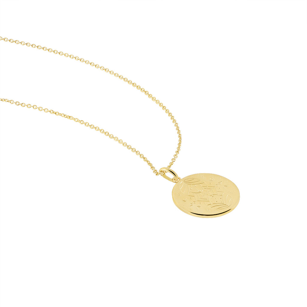 Collier Astro Plaqué Or - Colliers Zodiaque Femme | Histoire d’Or
