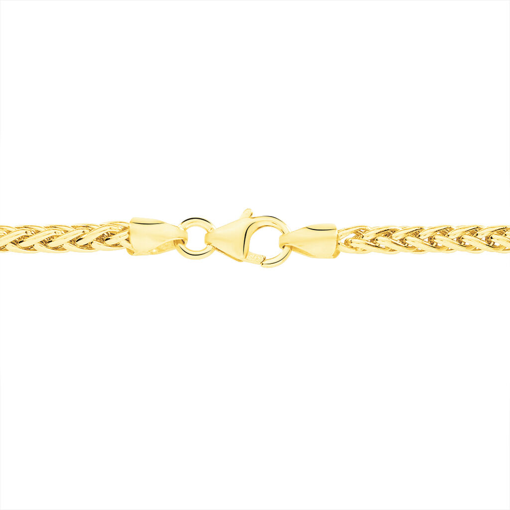 Collier Jany Danilo Maille Palmier Or Jaune - Chaines Femme | Histoire d’Or