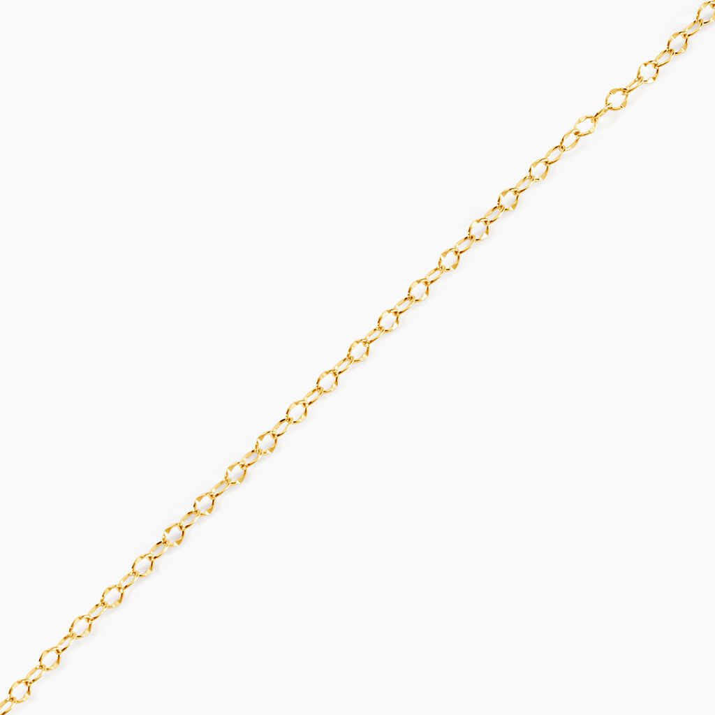 Chaine Or Jaune Pilea - Chaines Femme | Histoire d’Or