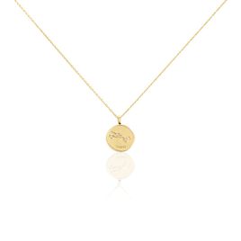 Collier Iago Plaqué Or Oxydes De Zirconium - Colliers Zodiaque Femme | Histoire d’Or