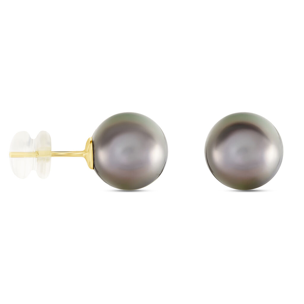 Boucles D'oreilles Puces Alper Or Jaune Perle De Culture De Tahiti - Clous d'oreilles Femme | Histoire d’Or