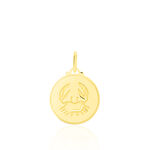 Pendentif Lamie Zodiaque Or Jaune - Pendentifs Zodiaque Unisex | Histoire d&rsquo;Or
