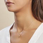 Pendentif Haizia Dauphin Or Jaune - Pendentifs Famille | Histoire d&rsquo;Or