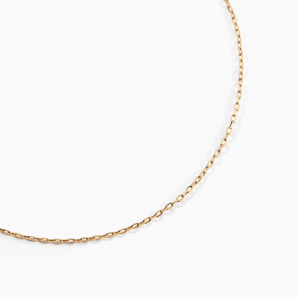 Chaîne Vince Plaqué Or Jaune - Chaines Femme | Histoire d’Or