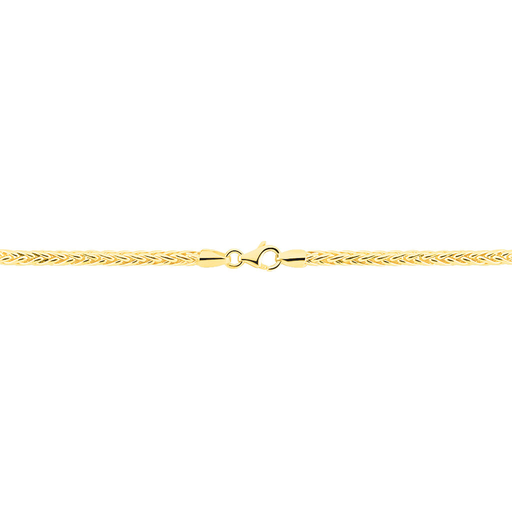 Collier Jany Maille Palmier Or Jaune - Chaines Femme | Histoire d’Or
