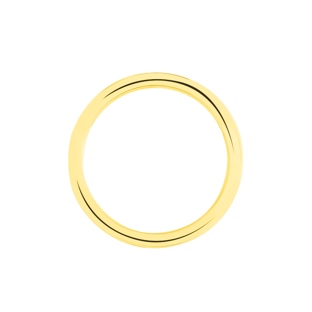 Alliance Gaia Ruban Plat Or Jaune - Alliances Famille | Histoire d’Or