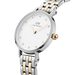 Montre Daniel Wellington Petite Lumine Blanc - Montres Femme | Histoire d’Or