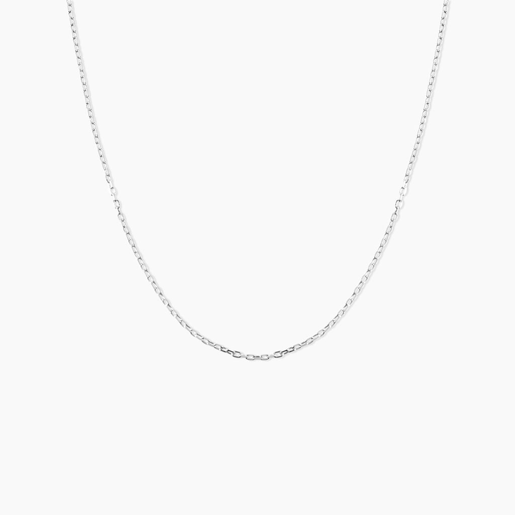 Chaîne Ilan Maille Forçat Ronde Or Blanc - Chaines Famille | Histoire d’Or